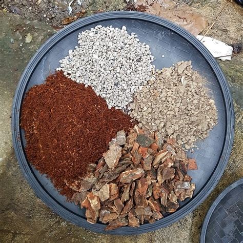 How To Prepare Soil Mix For My Aroid Plants | GARDENS NURSERY