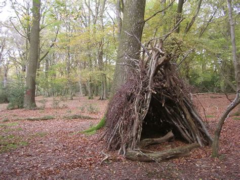 Building A Survival Shelter With Natural Materials - Off The Grid News