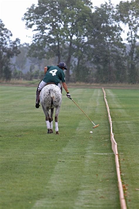 Polo Player on a Horse during a Tournament Editorial Photo - Image of preparation, spectators ...