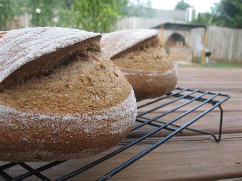 An experiment with a rye mash soaker | The Fresh Loaf