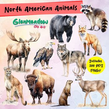 Set of 10 North American Animals Clip Art Set! by Glenmeadow Clip Art