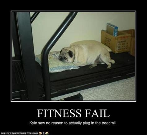 fitness fail dog - Dump A Day