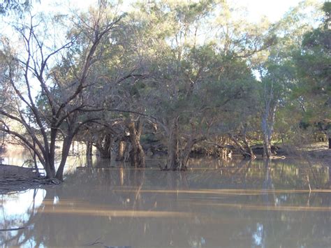 Solo Steve On The Road: LIGHTNING RIDGE to DIRRANBANDI QLD