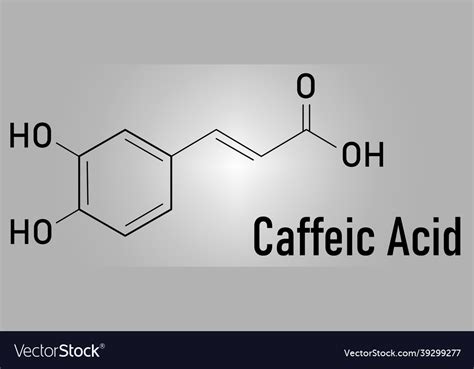 Caffeic acid molecule skeletal chemical formula Vector Image