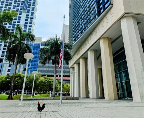 Miami Judge Awards $3.1M in Precedent-Setting Nutraceutical Trademark Action | Legal Mag