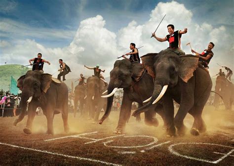 The Finest Magazine | Elephant racing festival in Vietnam's Dak Lak