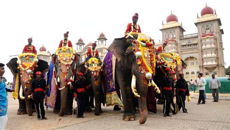 The Dasara elephants led by howdah-bearer Arjuna, arrived to a grand ...