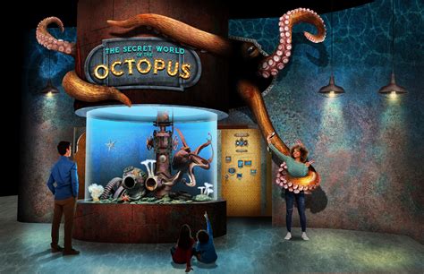 Concept art designed for the Oklahoma Aquarium's new Octopus exhibit. | Concept art, Art, Exhibition