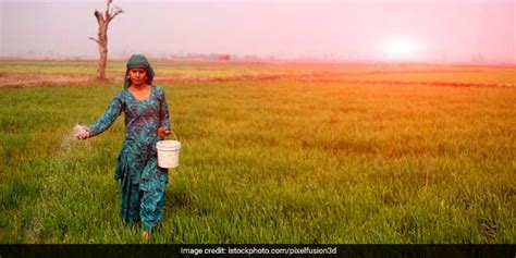 Renaming Of Haryana Village After Donald Trump Called As A Fraud Event ...