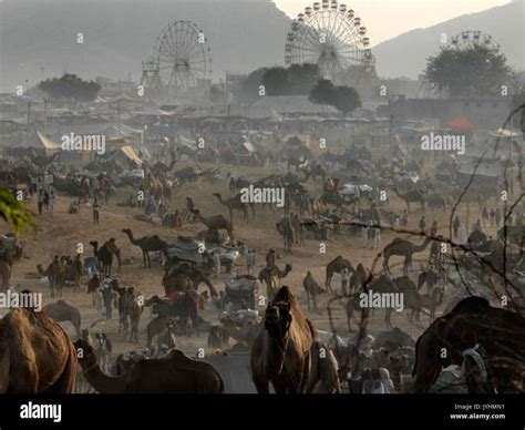 A scene of Sonepur Cattle Fair Stock Photo - Alamy