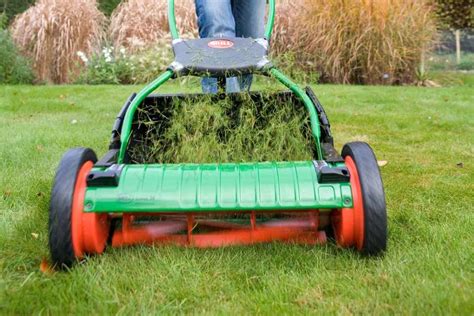 The Different Types Of Lawn Mowers Compared And Explained | Garden Yard