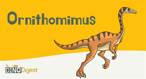 Meet The Ornithomimus And Its Toothless Beak | Dino Digest