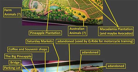 The Big Pineapple - history in the breaking. : australia