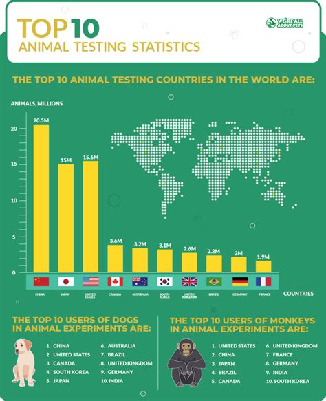 55 Powerful Animal Testing Statistics - We're All About Pets