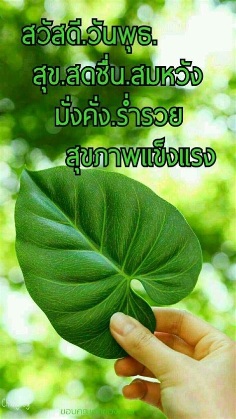 Good Morning In Thailand Language - good morning motivational quotes