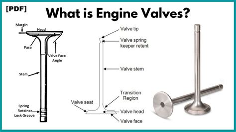 What is Engine Valves? Types, Working, Mechanism [Explained]