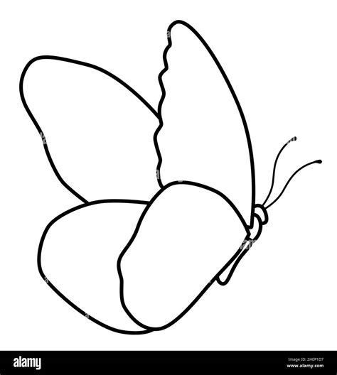 Butterfly black and white outline illustration. Coloring book or page for kids Stock Vector ...