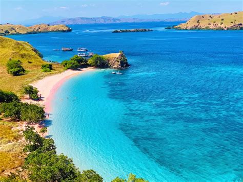 The STUNNING Komodo Island Pink Beach (Labuan Bajo, Indonesia)