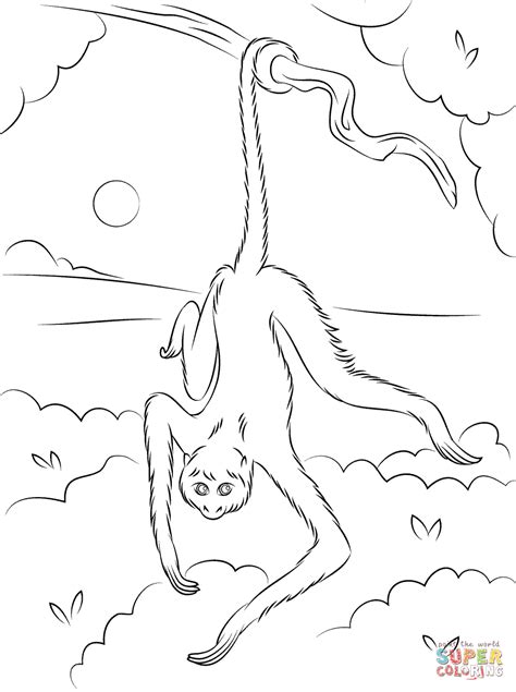 Spider Monkey Hanging on Tree coloring page | Free Printable Coloring Pages