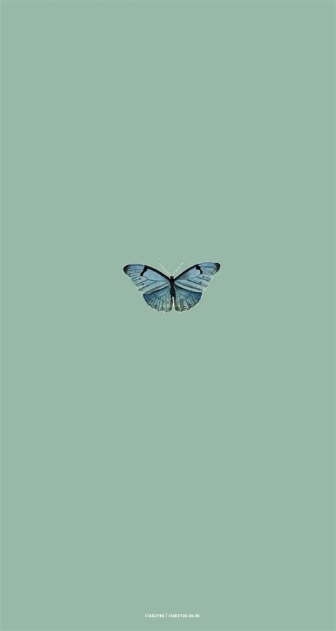 15 Sage Green Minimalist Wallpapers for Phone : A Butterfly I Take You ...