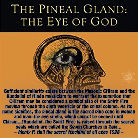 Pineal Gland…Kundalini…God…Third Eye… | Pineal gland, Third eye awakening, Gland