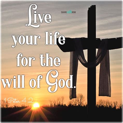 Live your life for the will of God. Stay connected with God @share_faith_now Please follow me ...