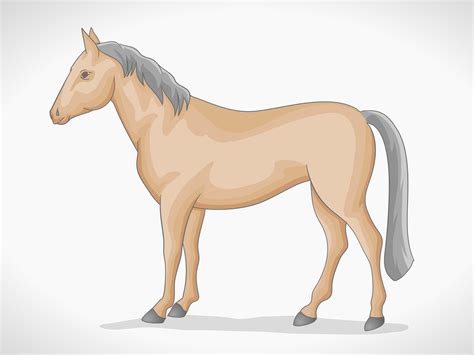 How to Draw a Simple Horse (with Pictures) - wikiHow