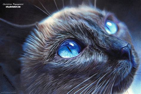 25 Hyper-Realistic Color Pencil Drawings by Christina Papagianni