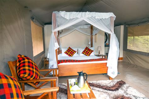 Accommodation lodges & Camps in Masai Mara - Masai Mara Holidays
