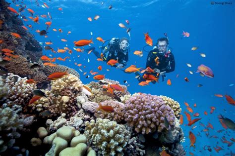 Scuba Diving in Andaman Islands – Doongi Dives