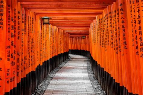 TOP 50 Things to do in Kyoto: Must See, Must Do & Must Experience Activities (2024 Edition ...