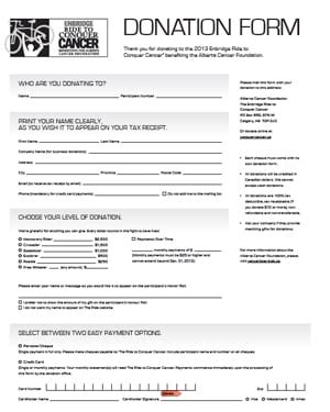 6 Charitable Donation Form Templates - formats, Examples in Word Excel