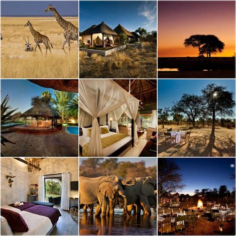 NAMIBIA Mokuti Etosha Lodge 35% Airline Staff Discount