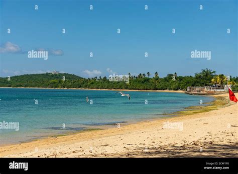 Beach at Naguabo, Puerto Rico Stock Photo - Alamy