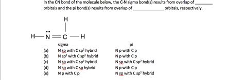 Solved In the CN bond of the molecule below, the C-N sigma | Chegg.com