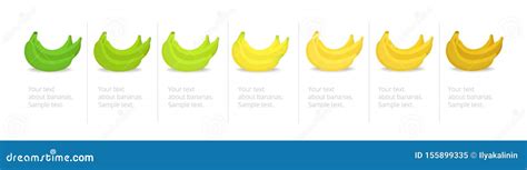 Banana Ripeness Stages Infographics Chart. Bunch Of Bananas Colour Gradation Set. Ripening ...