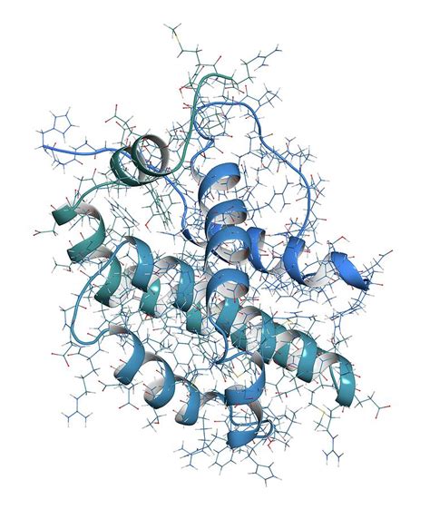 Bcl-2 Regulatory Protein Molecule Photograph by Molekuul/science Photo ...