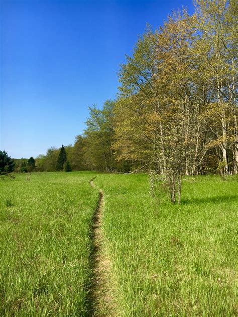 North Country Trail Michigan 41 - The Thousand Miler