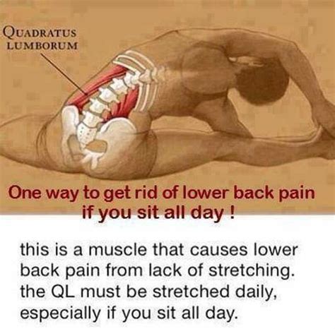 One Way To Get Rid Of Lower Back Pain If You Sit All Day.