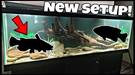 125 Gallon Fish Tank Setup! Freshwater NATIVE FISH Aquarium Build! - YouTube