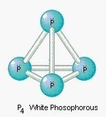 pls give the structure of P4? - Brainly.in