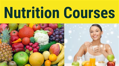 Online Nutrition Courses - Right Choice For Modern Students - c82packet