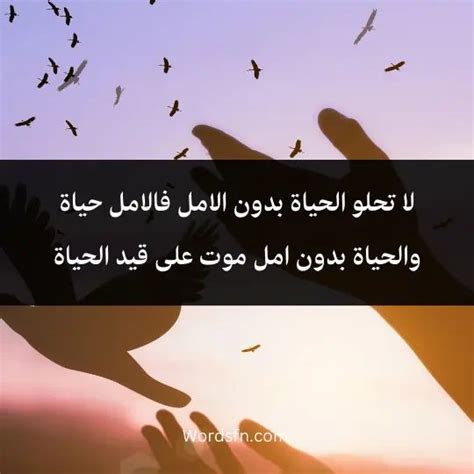 خواطر عن الأمل شعر عن التفاؤل والأمل نزار قباني | Quotes