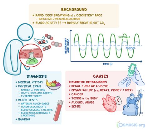 Kussmaul Respirations: What Are They, Mechanism, and More