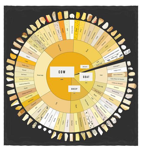 Cheese Wheel Chart for Cheese Lovers [Infographic] » TwistedSifter