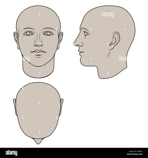 Hand drawn human head in face, profile and top views. Flat vector ...