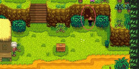 Unlocking the Secrets of Ginger Island in Stardew Valley: Optimal Crops for Frogs!