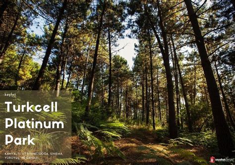 Turkcell Platinum Park | Kahvaltı ve Gezi Rehberi 2024