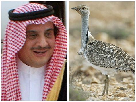 Saudi Royal on Houbara bustard hunting spree in Balochistan