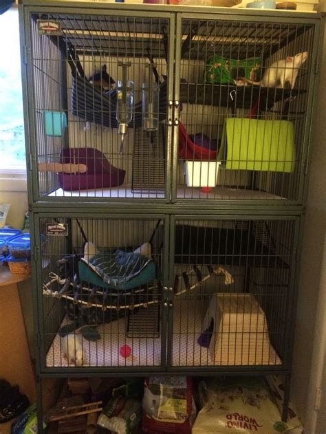 What do you guys think of my cage setup? : r/RATS